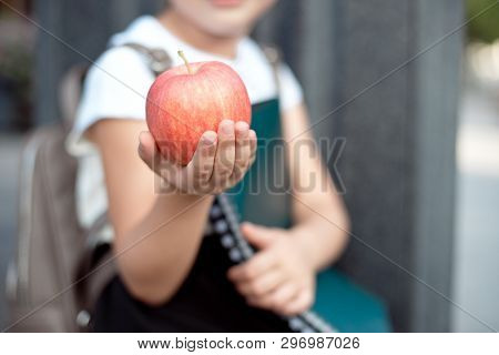 Happy Little Schoolgirl With Blond Hair In School Uniform With Lunch, Book Sits Near School.