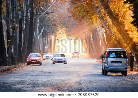 Dushanbe Street In The Autumn Evening. The Trees Along The Road Form A Tunnel With Their Crowns