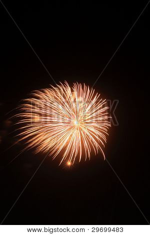 Fireworks In The Night