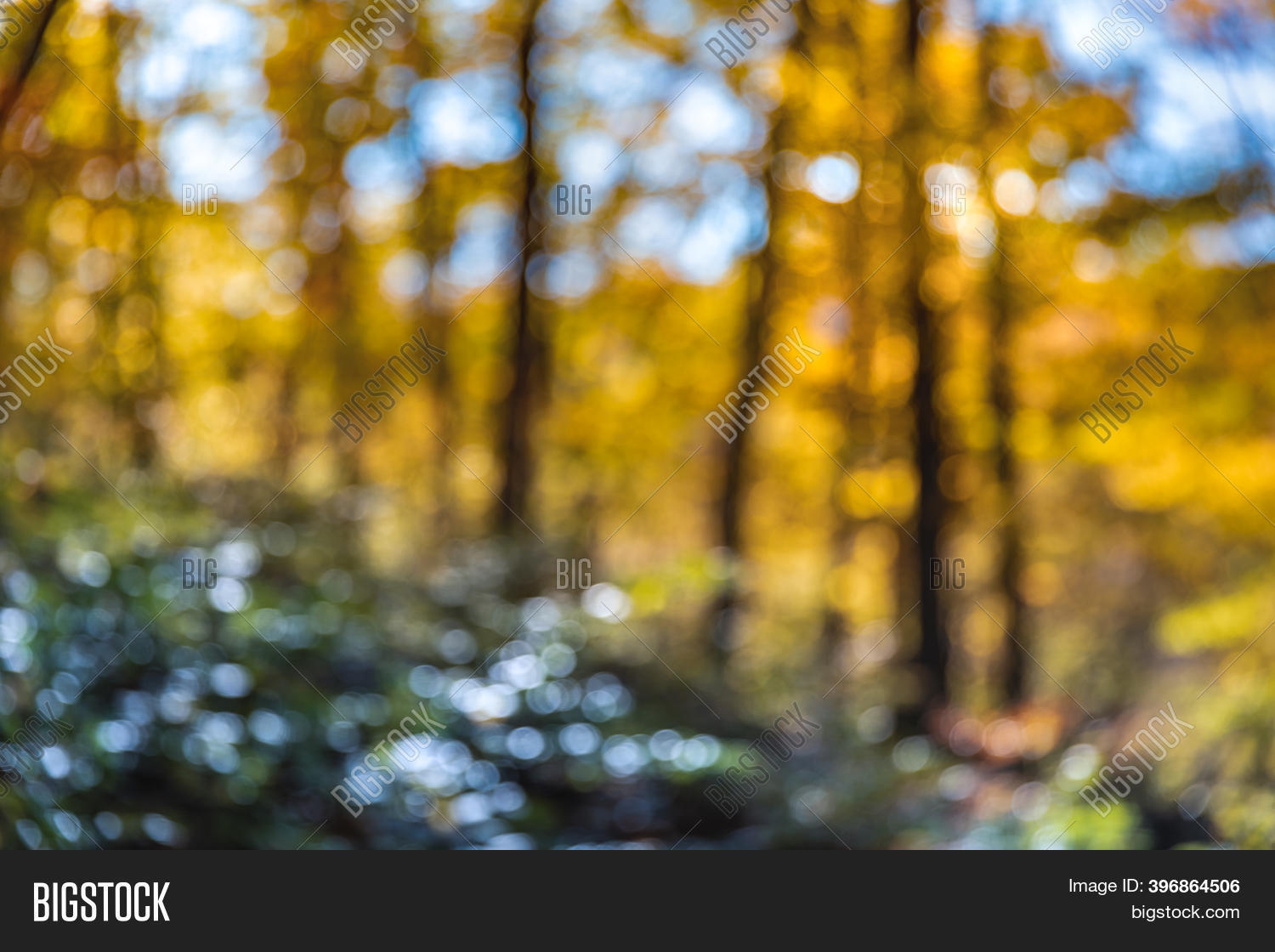 Blurred Bright Autumn Image & Photo (Free Trial) | Bigstock