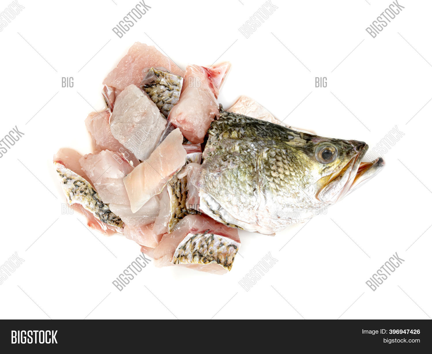 Barramundi Seabass Image & Photo (Free Trial) Bigstock