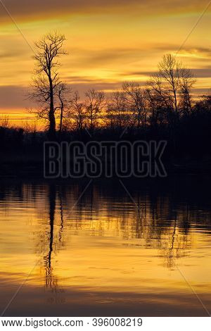 Shady Island Steveston Sunset. Sunset Behind The Trees Of Shady Island In Steveston, British Columbi
