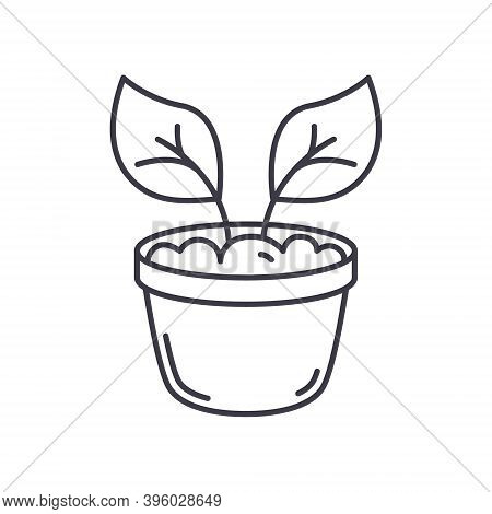 Plant Plot Icon, Linear Isolated Illustration, Thin Line Vector, Web Design Sign, Outline Concept Sy