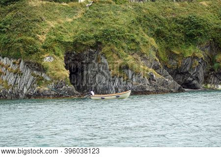 In The Irish Waters Every Year Numerous Whale And Dolphin Species Cavort. So Far, 24 Species Of Mari