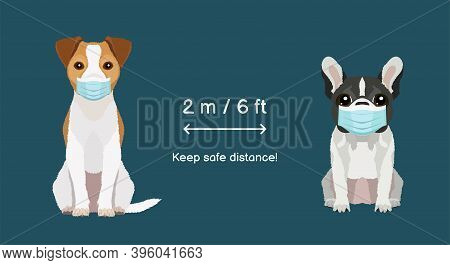 Keep Safe Distance Two Meters Or Six Feets. Jack Russel Terrier And French Bulldog Wearing Protectiv