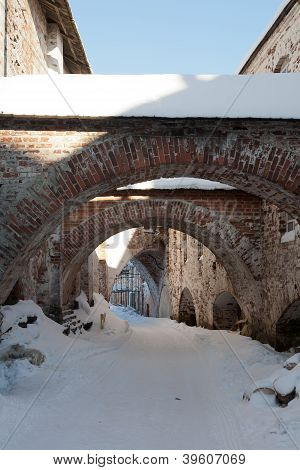 Kind on the Solovetsky monastery. Russia.