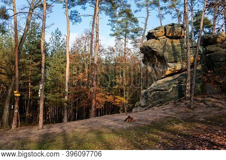 Monument Sandstone Rock Relief Snake Created By Vaclav Levy Between Libechov And Zelizy, Cliff Carvi
