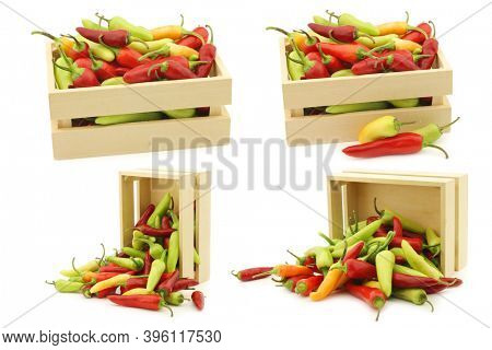 Red and green rawit peppers (Capsicum annuum 'Bird's Eye') in a wooden box on a white background