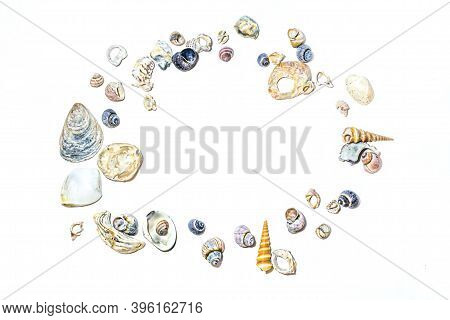 Сircle Of Small Marine Colored Orange Blue Pink Purple Seashells Of Different Sizes And Shapes On Wh