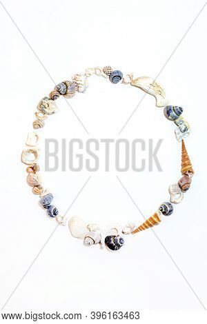 Сircle Of Small Marine Colored Orange Blue Pink Purple Seashells Of Different Shapes On White Backgr