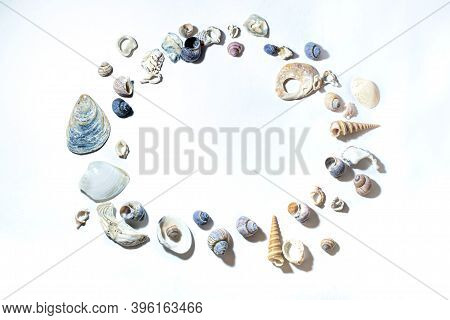 Сircle Of Small Marine Colored Blue Pink Purple Seashells Of Different Sizes And Shapes On White Bac