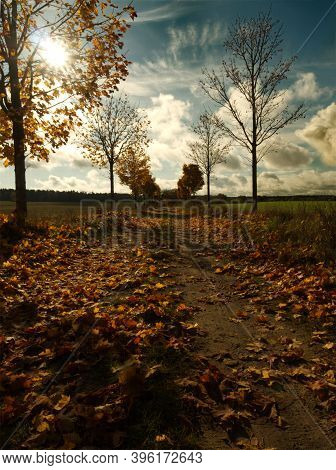 Autumn Vibes At Day With Clouds In Dabelow Mecklenburg-west Pomerania Germany Europe