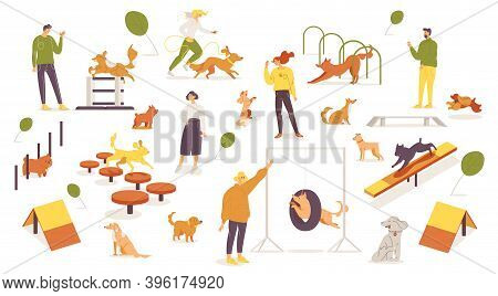 Agility Dog Training School Woth Various Equipment Good For Education For Puppies And Play With Pets