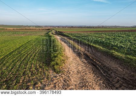 Landscape With Visible Arable Fields In The Fall With Catch Crops As A Background