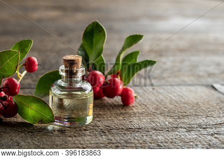 Essential Oil Bottle With Wintergreen Leaves And Berries, With Copy Space