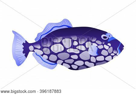 Decorative Sea Or Aquarium Fish On White Background. Freshwater Or Saldwater Aquarium Cartoon Fish. 