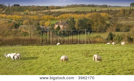 Worcestershire