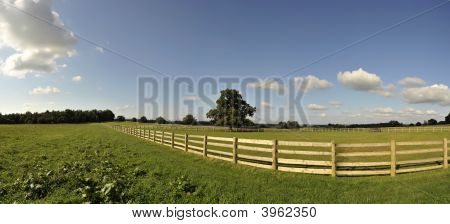 Paddock