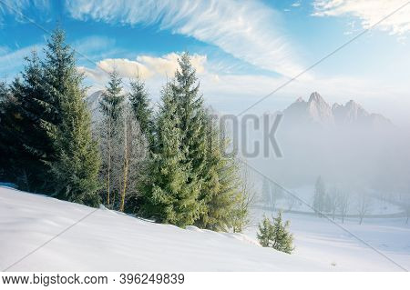 Spruce Forest On A Snow Covered Hill. Beautiful Comosite Mountain Landscape In Winter. Misty Weather
