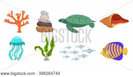 Underwater Life Collection. Undersea Icon Set. Turtle, Jellyfish, Coral, Shell, Waterweed, Butterfly