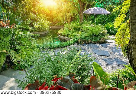 Free Form Pattern Of Black Stone Walkway And White Gravel In Garden Of Park, Greenery Fern Epiphyte 