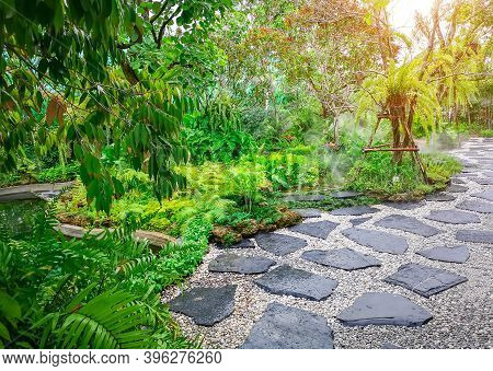 Free Form Pattern Of Black Stone Walkway And White Gravel In A Tropical Backyard Garden, Greenery Fe