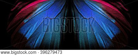 Wings Of A Butterfly Ulysses. Wings Of A Butterfly Texture Background. Closeup. Selective Focus