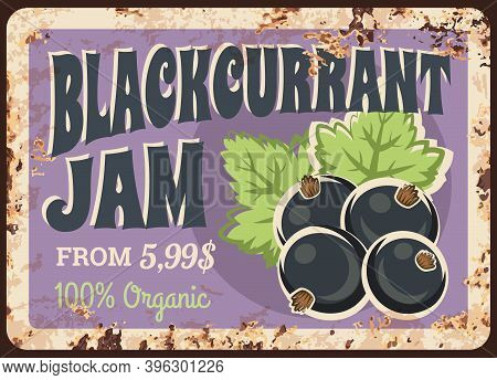 Blackcurrant Jam Rusty Metal Plate, Vector Fresh Berry Vintage Rust Tin Sign. Price Tag For Market O