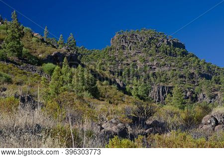 Los Hornos Mountain. Natural Reserve Of Inagua And The Nublo Rural Park. Aldea De San Nicolas De Tol