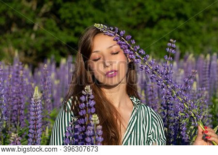Gorgeous Beautiful Girl Eyes Closed Holds Lupine Flower Touching Her Face On Blooming Meadow, Mergin