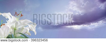 White Lilies Sky Message Banner - Two Lily Heads In Left Foreground Against Fluffy Clouds And Romant