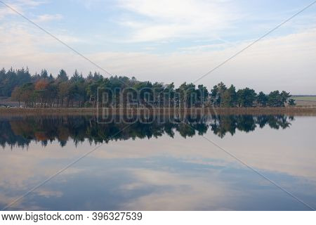 Autumn Season Coniferous Forest Reflected Over Still Water Of Redmires Reservoirs. Wispy Cloudscape 