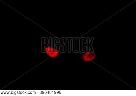 Red Eyes Of Cat On A Black Background.red Eye Effect.
Red Eyes Of A Cat On A Black Background.