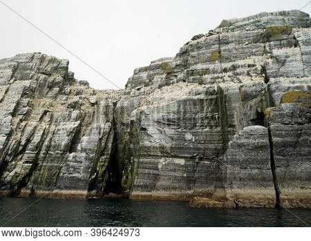 Little Skellig - World's Second Largest Gannet Colony