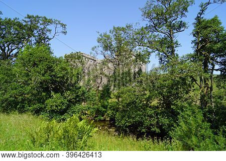 Hermitage Castle Is A Half-ruined Castle On Hermitage Water, Located In The Scottish Borders Area Of