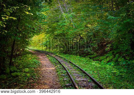 Abandoned Railway In Autumn Mountain Forest With Foliar Trees In Caucasus, Mezmay.