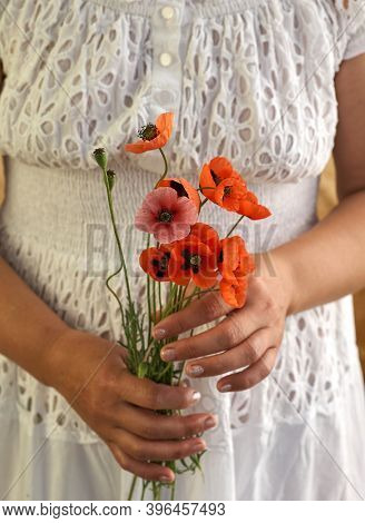 Woman In White Dress Holding Poppe Flowers, Close Up On Her Hands. Spring Time Dreams.