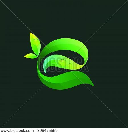 Letter E Ecology Logo With Green Leaves And Dew Drops. Vector Icon Perfect For Agriculture Labels, E