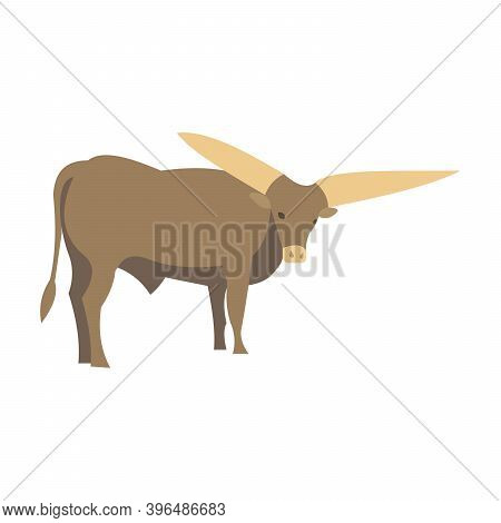 Bull Watussi African. The Largest Horns In The World. Sacred Animal. Bos Taurus Indicus.