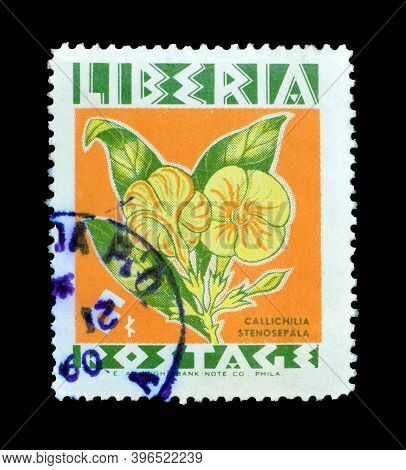 Liberia - Circa 1955 : Cancelled Postage Stamp Printed By Liberia, That Shows Callichilia Stenosepal