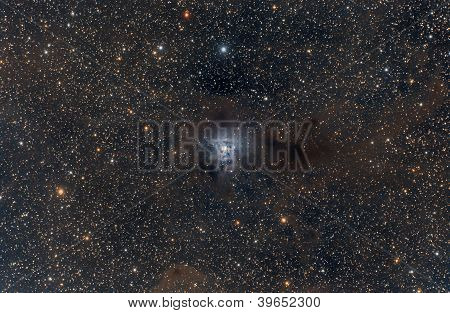 Iris Nebula
