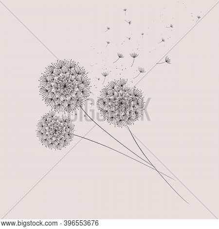 Dandelions On The Cream Background. The Wind Blows The Seeds Of A Dandelion. Abstract Dandelions Dan