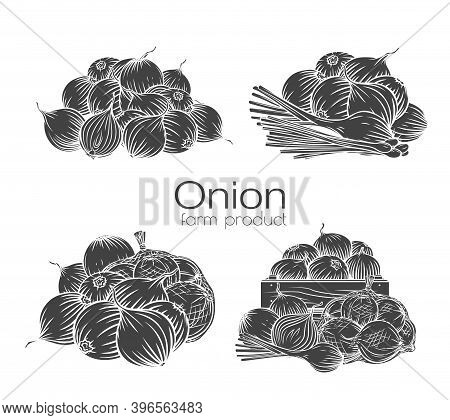 Onion Bulbs Glyph Outline Hand-drawn Engraved Monochrome Vector Illustration Set Isolated White On B