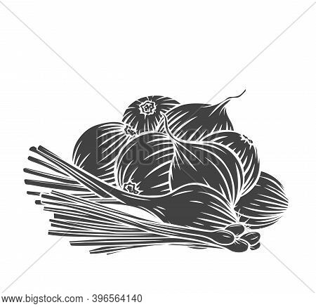 Onion Bulbs, Scallion, Leek Glyph Engraved Monochrome Vector Illustration In Retro Style. Bunch Of O