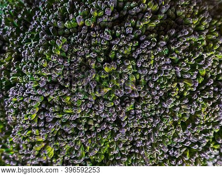 Close-up Of Beautiful Green Broccoli Texture. Good Option For A Healthy Food Banner.