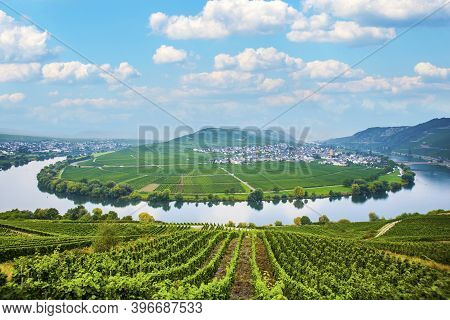 Famous Moselle River Loop In Trittenheim, Germany