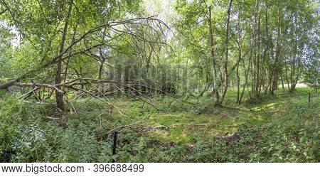 Rural Polder Landscape At The Baltic Sea In Usedom, Germany