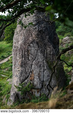 Rock Pillar Behind Branches In Front Of The Rock Face At Stenzelberg.