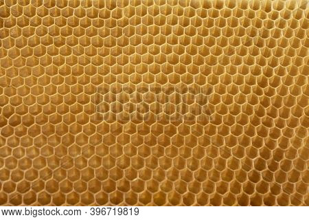 Beecomb Background With Empty Cells For Honey With Hexagon Shapes, Apiculture Concept