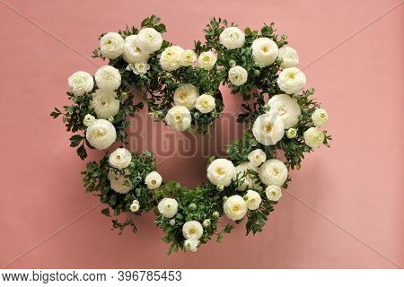 Ranunculus Flower White On Pink Background.buttercup Flowers.flower Heart. Ranunculus Flowers Bouque